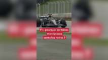 F1 : pourquoi certaines monoplaces sont-elles noires ?