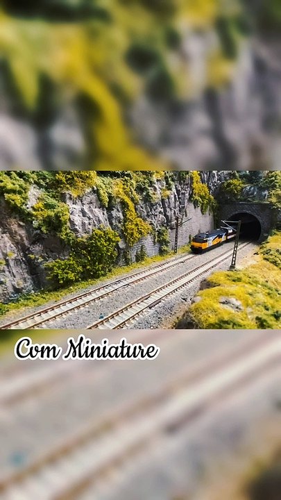 Trains Miniature scale layout