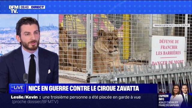 Nice: la mairie dépose plainte après l'installation illégale d'un cirque Zavatta et l'accuse de maltraitance animale