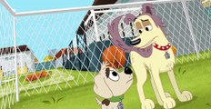 Pound Puppies 2010 Pound Puppies 2010 S01 E022 McLeish Unleashed