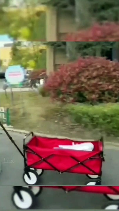 Short Funny Compilation (9)