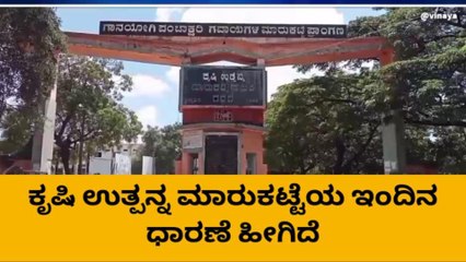 ಗದಗ: ಶುಕ್ರವಾರದ ಮಾರುಕಟ್ಟೆಯಲ್ಲಿ ಜೋಳದ ದರ ಕುಸಿತ - ರೈತರಲ್ಲಿ ಆತಂಕ