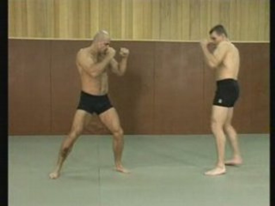Combat Libre