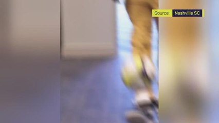 Antetokounmpo brothers buy stake in Nashville SC