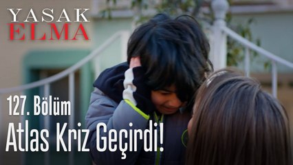 Atlas kriz geçirdi! - Yasak Elma 127. Bölüm