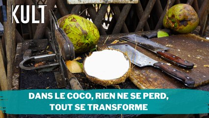 Dans le coco, rien ne se perd, tout se transforme