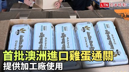 澳洲首批36萬顆雞蛋抵台，緩解國內蛋荒🥚