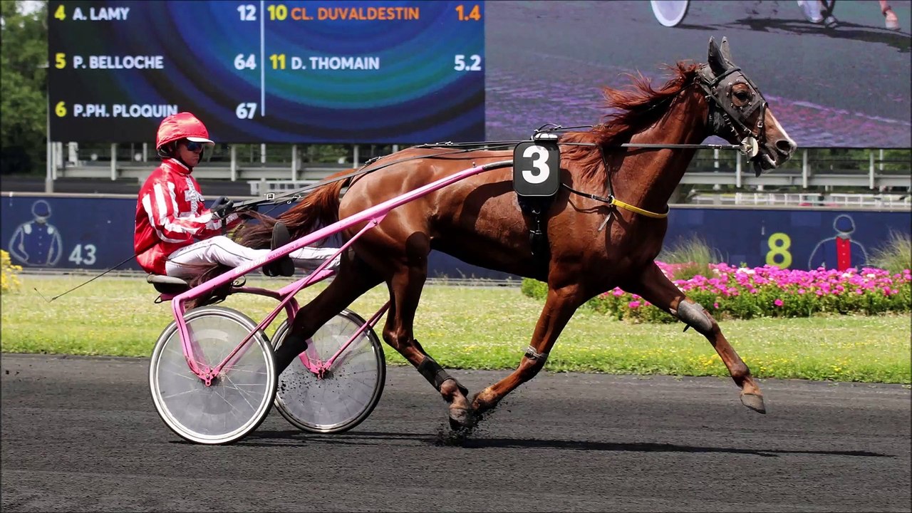 Pronostic PMU de Fréquence Turf pour le Quinté du samedi 4 mars 2023 (Réunion n°1 - Course n°4)