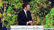France's Macron promises $53 mln to new global forest protection scheme