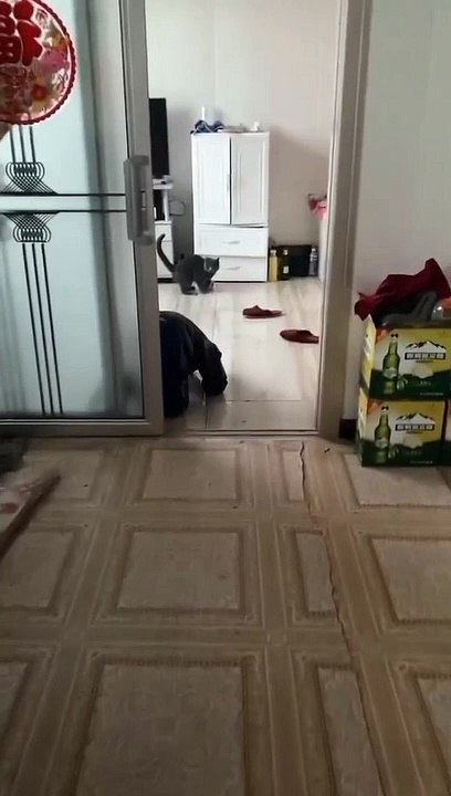 Video Funny 624
