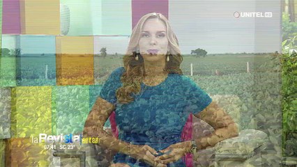 Anapo anuncia buena cosecha y que se puede aumentar un 40% la productividad con mejores condiciones