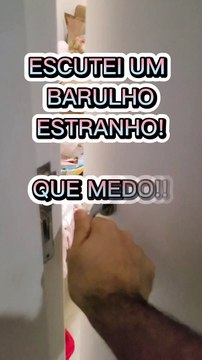 Gambá invade apartamento e dorme entre bichos de pelúcia em Jaraguá do Sul
