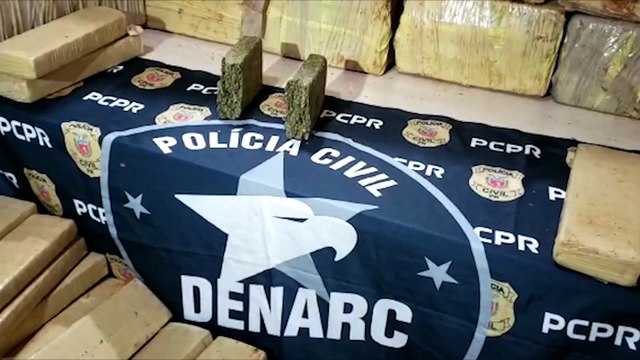 Denarc apreende mais de uma tonelada de maconha na BR-369
