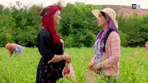 مسلسل طريق الورد 1 الحلقة الاولى