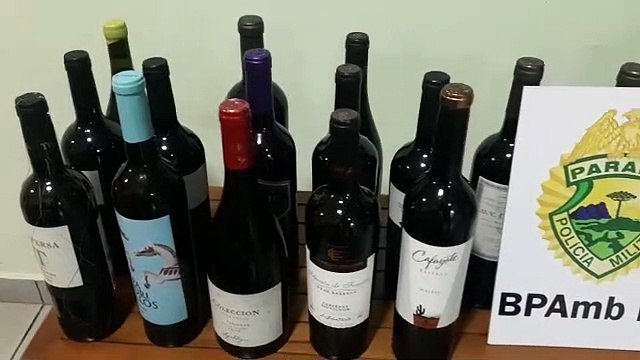 Polícia Ambiental apreende 29 garrafas de vinho após abordagem na Estrada Boiadeira, em Umuarama