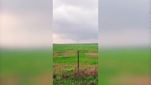 Alarming footage shows large tornado spotted north of Mount Vernon, Texas, amid severe storms in US south