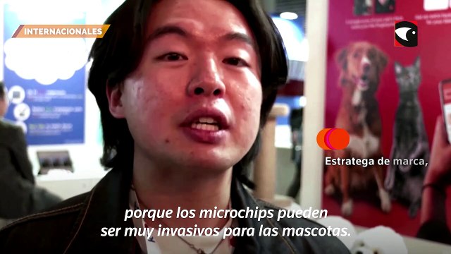 Presentaron en España una aplicación que identifica a las mascotas por sus huellas nasales