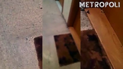 Así ha quedado el edificio en el que Angela Drozdowski ha hecho explotar un explosivo