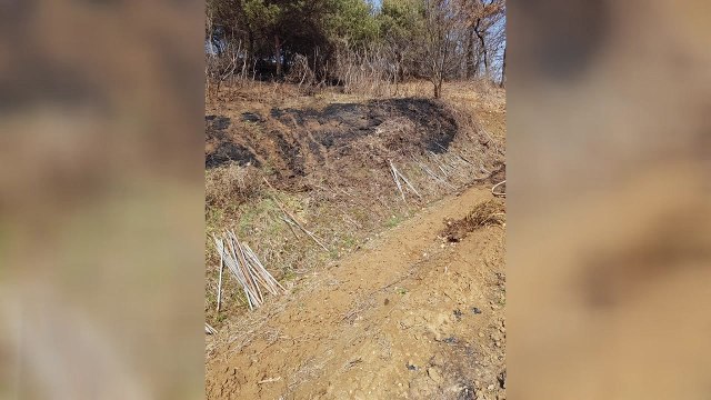 충남에서 산불 잇따라...쓰레기 등 태우다 불씨 날려 / YTN