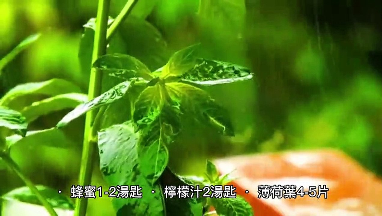 經典冰凍果汁