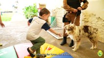 Conheça o Projeto cão amigo que atende APAEs e partir de agora alunos da rede municipal de ensino