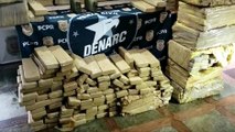 Denúncias teriam contribuído para a grande apreensão de maconha realizada pela DENARC na BR-369