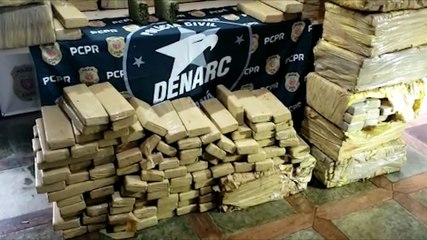 Denúncias teriam contribuído para a grande apreensão de maconha realizada pela DENARC na BR-369