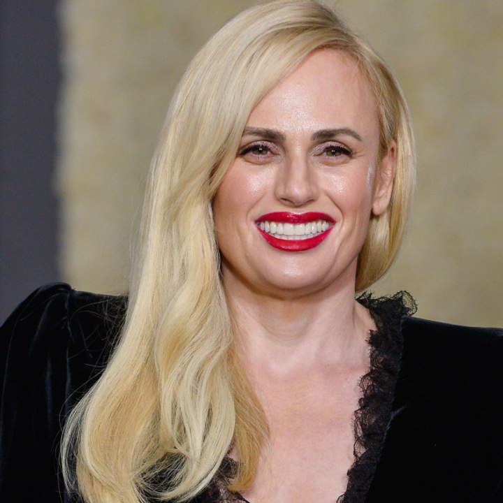 Rebel Wilson got banned from Disneyland for a month over 'illegal' bathroom selfie