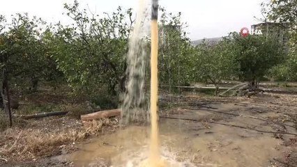 Narenciye üreticisi bahçe sularken fark etti: "su çamurlu akmaya başladı"