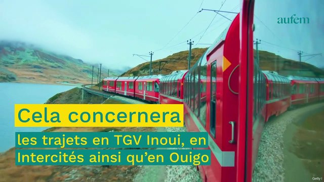 Billets de train d'été : quand réserver à la SNCF pour payer le moins cher ?