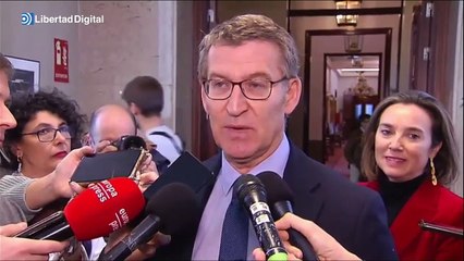 Feijóo llama "hooligan" a Sánchez por "insultar" al presidente de Ferrovial