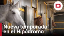 Dentro del Hipódromo de la Zarzuela: así es la puesta a punto de caballos y jockeys