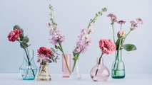How People Are Channeling Their Creative Energy with the Flower Vase Challenge