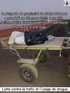 Notto Diobass : la gendarmerie saisit plus de 40kg de chanvre indien