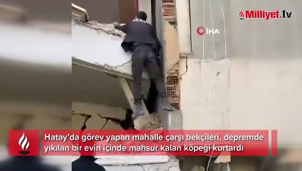 Hatay’da yıkılan evlerin arasında mahsur kalan köpeği bekçiler böyle kurtardı