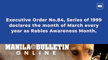 March is Rabies Awareness Month