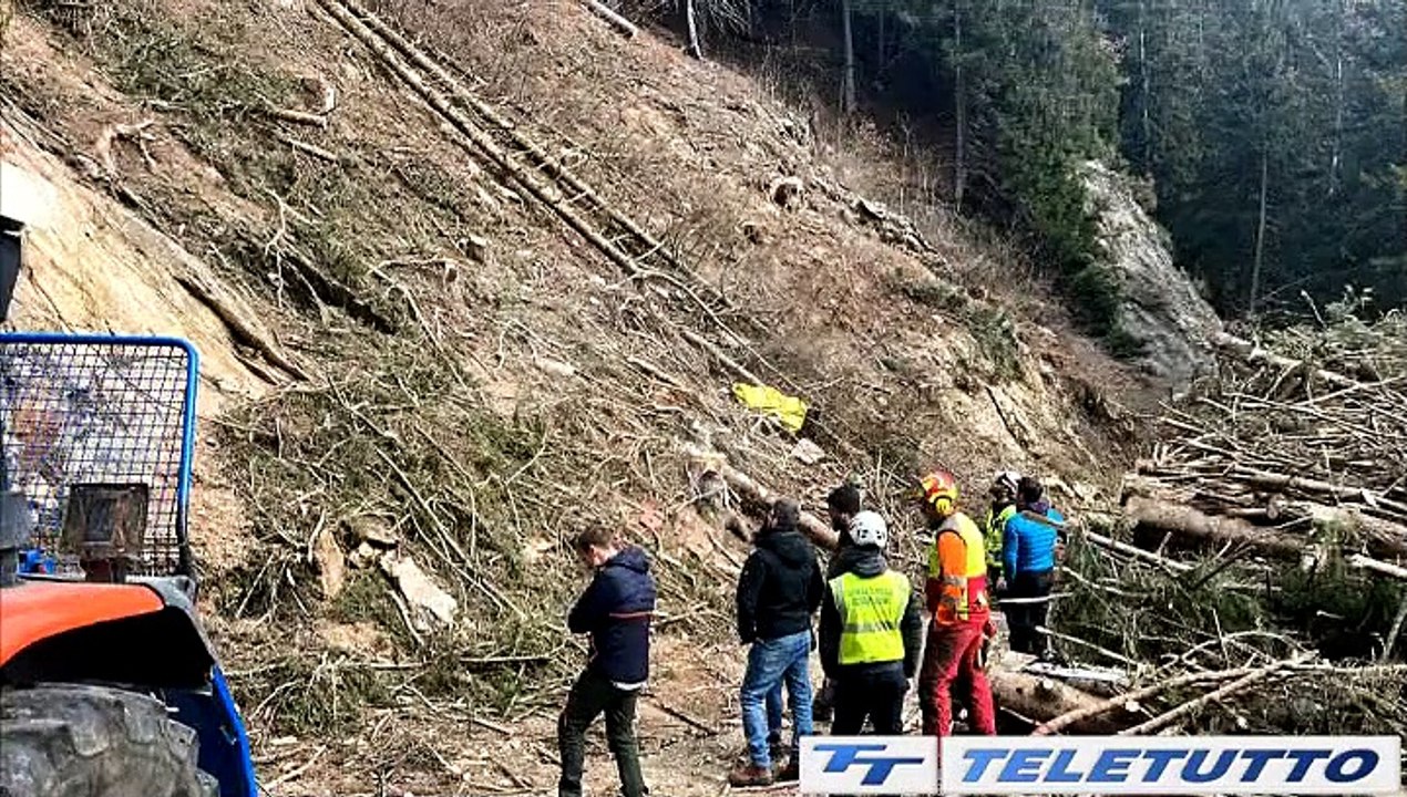 Video News - BERZO DEMO, MUORE NEL CANTIERE FORESTALE