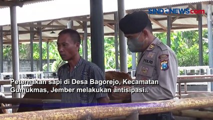 Download Video: Antisipasi Penyebaran Virus PMK, Peternak akan Libatkan Polisi