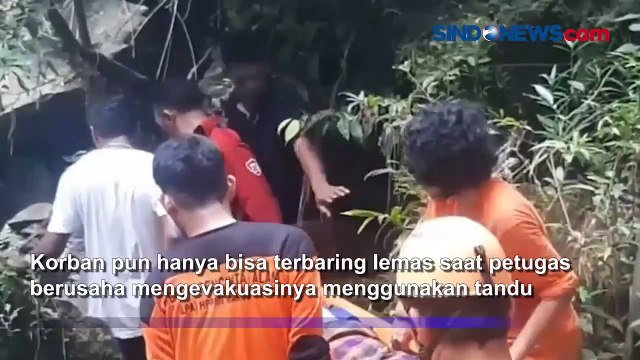 Warga Maros Sulawesi Selatan Terjatuh dari Pohon Aren Setinggi 15 Meter