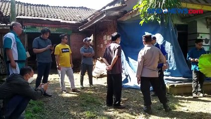 Terjangkit Penyakit Mulut dan Kuku, Puluhan Sapi di Banjarnegara Diisolasi Dua Pekan