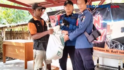 Warga Panik, Waspadai Ular Masuk Rumah di Lampung dan Tarakan