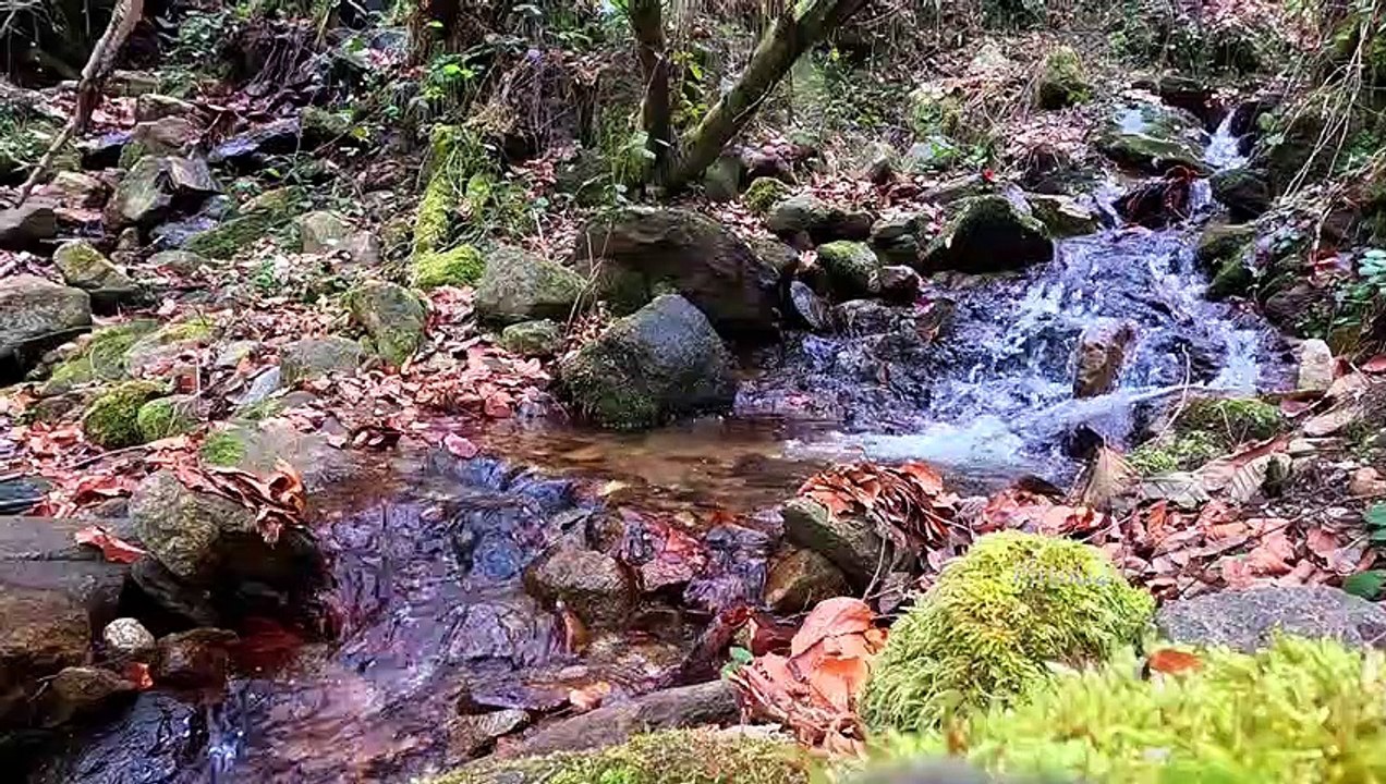 "Bien-être" Eau Ruisseau Cascade - Relaxation - Détente
