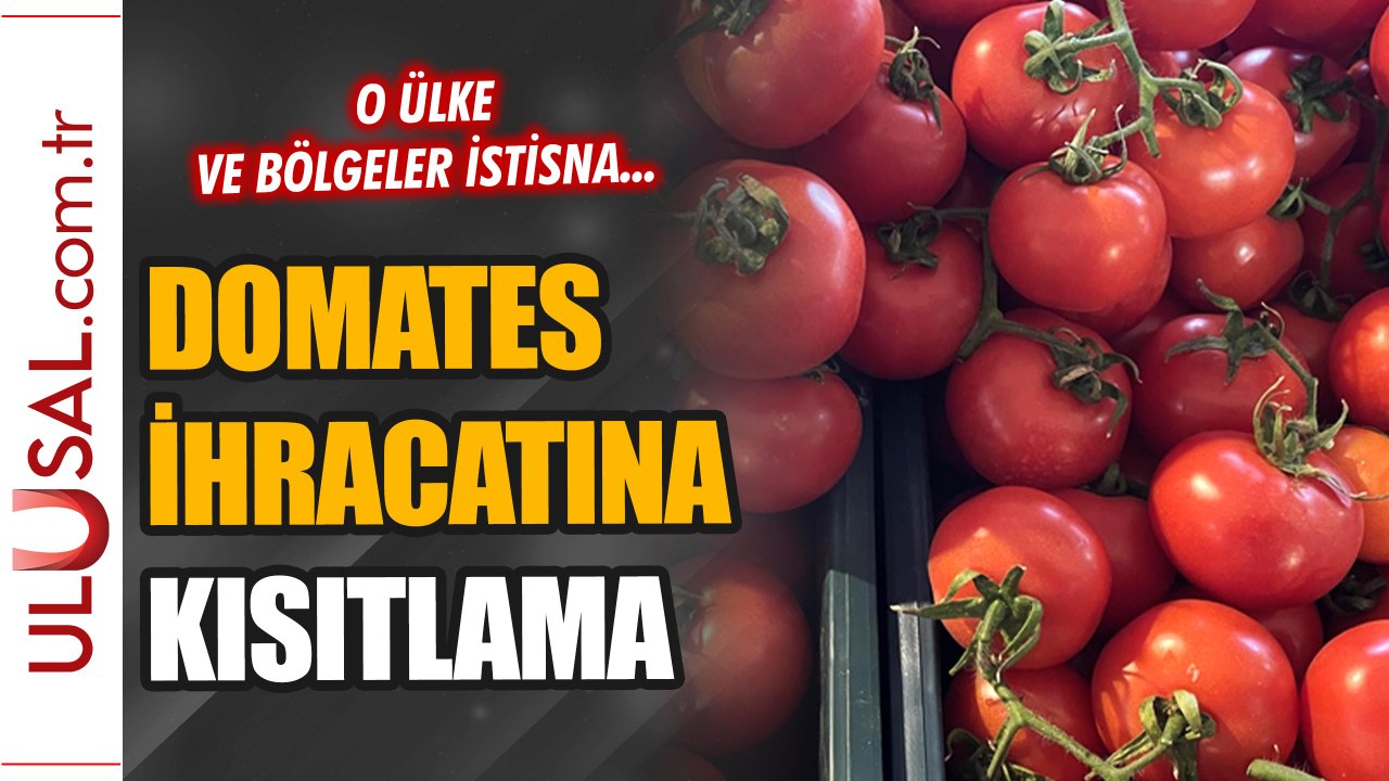Domates ihracatına deprem kısıtlaması