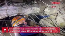 Kabındaki mama ile 25 gün hayatta kalan 'Fıstık' kurtarıldı