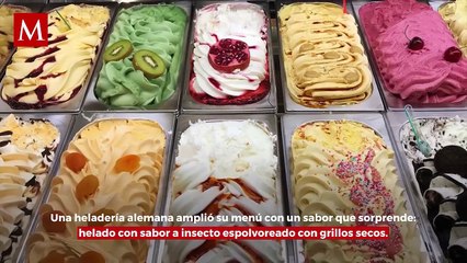 Heladería alemana sorprende con helado de sabor a grillo