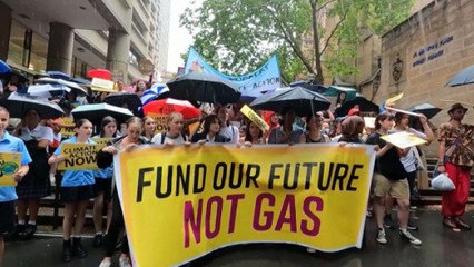 Fridays for Future stages global day of protest