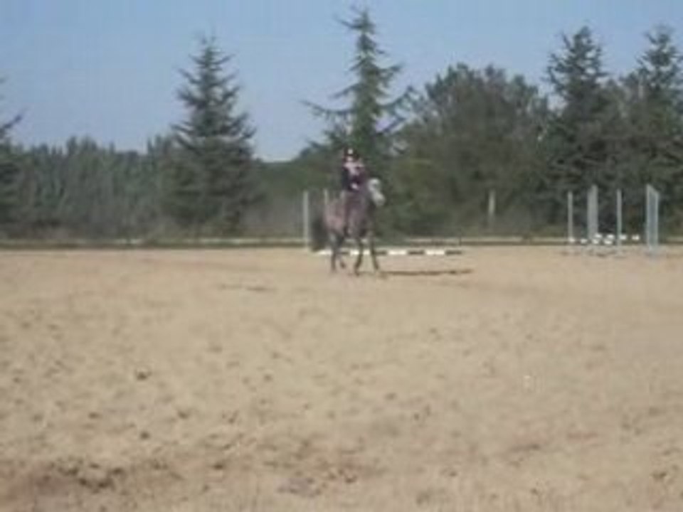 joli coeur le rebelle