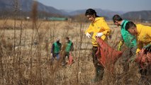 김건희 여사, 포항 찾아 환경정화 활동...죽도시장 방문 / YTN