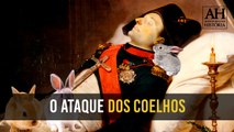 NAPOLEÃO BONAPARTE JÁ FOI ATACADO POR COELHOS? ENTENDA!