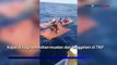 Kapal Tenggelam Nakhoda dan ABK Terombang-ambing 4 Jam di Laut Sumenep